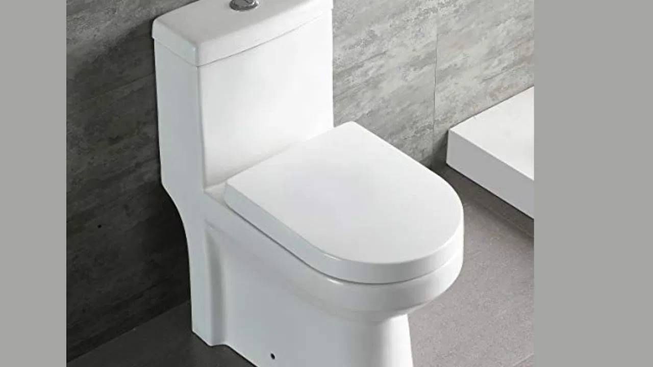 बाथरूममधील टॉयलेट सीट कधीही उघडी ठेवू नये. ती नेहमी बंद ठेवावी. टॉयलेट सीट उघडी राहिल्यास आर्थिक समस्या आणि मानसिक तणावाचा सामना करावा लागू शकतो.