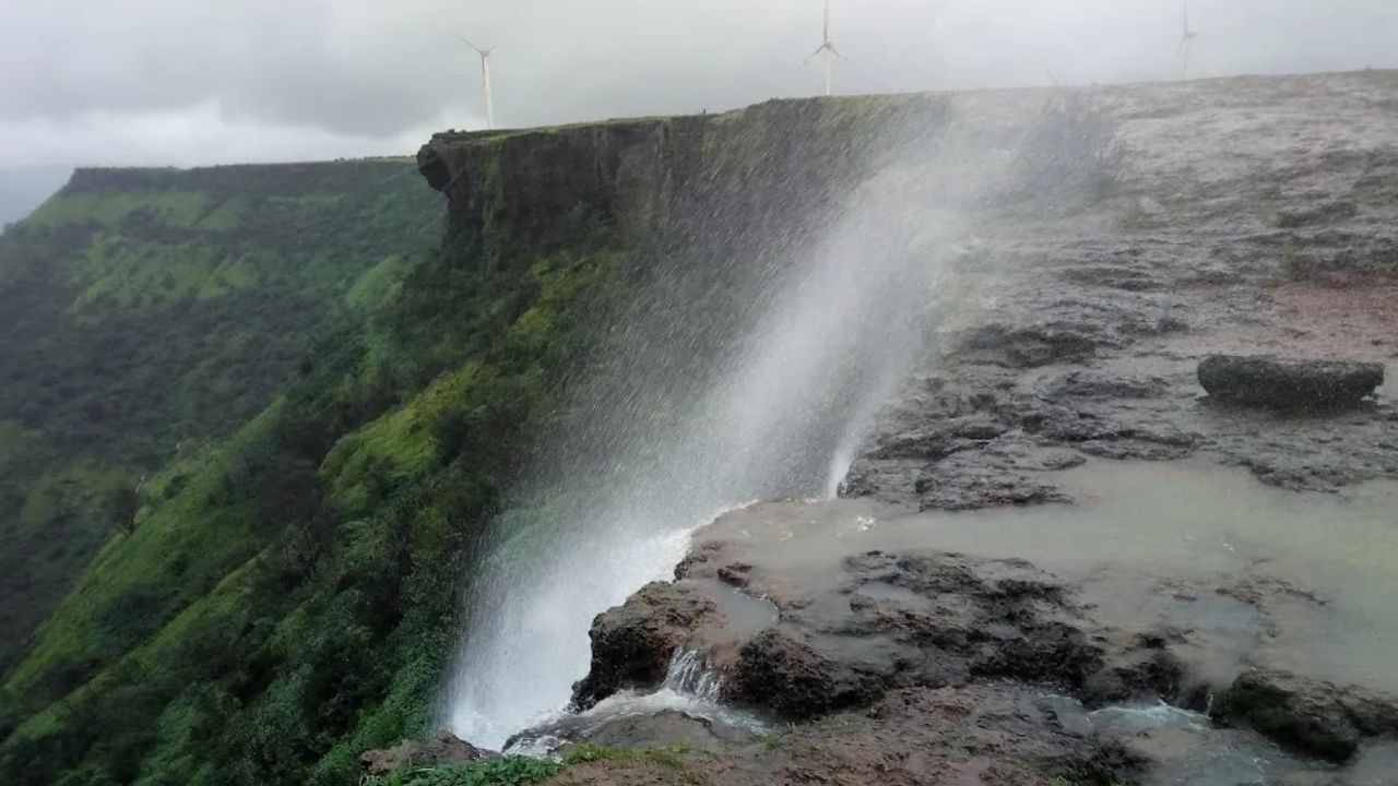 सडावाघापूर पठारावर निसर्गाच्या विविध रंगांची उधळण दिसते. पिवळी, पांढरी, निळी, गुलाबी, लाल रंगांनी पठार व्यापले जाते. उलट्या धबधब्यासाठी प्रसिद्ध असलेल्या सडावाघापूर पठाराचे या रानफुलांमुळे चर्चेत असते.
