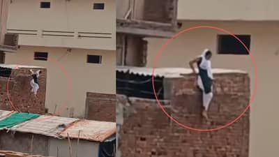 नवरा येताच छतावरून उडी मारून पळाली... हॉटेलमध्ये असं काय घडलं? सीसीटीव्हीत असं काय झालं कैद?