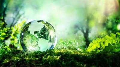 World Environment Day 2025 : भारत जागतिक व्यासपीठावर हवामान चॅम्पियन, असं गाठलं यशाचं शिखर