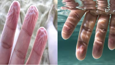 पाण्यामुळे सुरकुतणाऱ्या बोटांचे फायदे जाणून नक्कीच आश्चर्य वाटेल; 90% लोकांना माहित नसेल