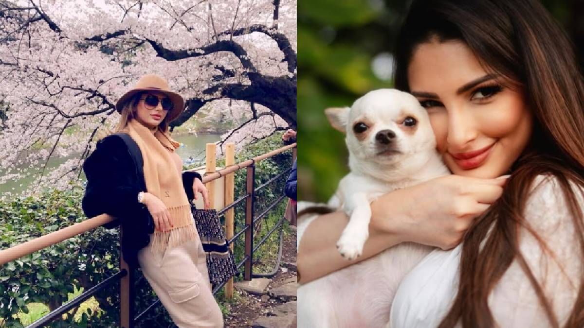 ३९ वर्षीय झैनब एका श्रीमंत व्यावसायिक कुटुंबातून आहे. तिच्या कलाकृती आणि प्रदर्शनांनी तिला हैदराबादच्या कला विश्वात एक वेगळी ओळख मिळवून दिली आहे.