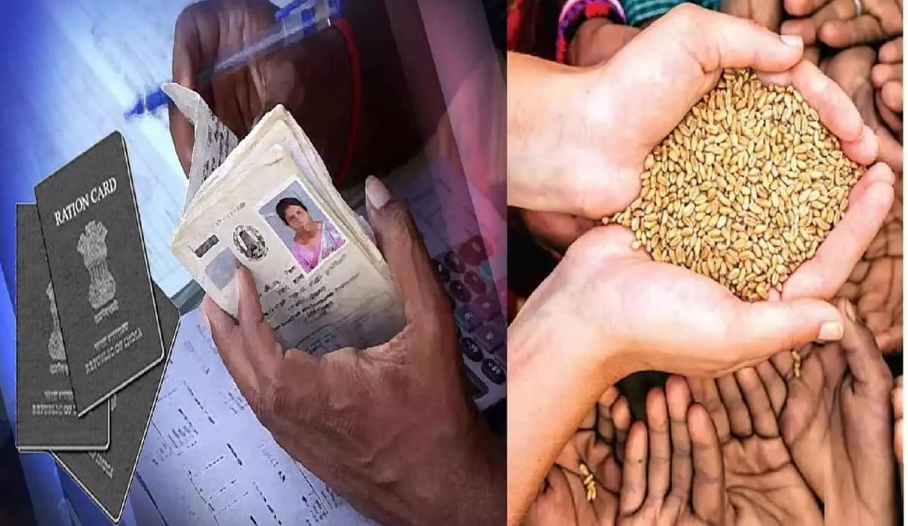 तीन महिन्यांचं मोफत रेशन एकत्रित मिळणार ! काय आहे योजना आणि अटी तीन महिन्यांचं मोफत रेशन एकत्रित मिळणार ! काय आहे योजना आणि अटी