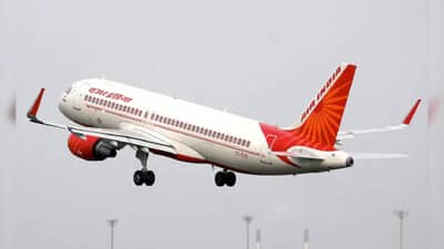 Pune News : एका कुत्र्याने रोखलं विमानाचं लँडिंग... पुण्यात नेमकं काय घडलं?