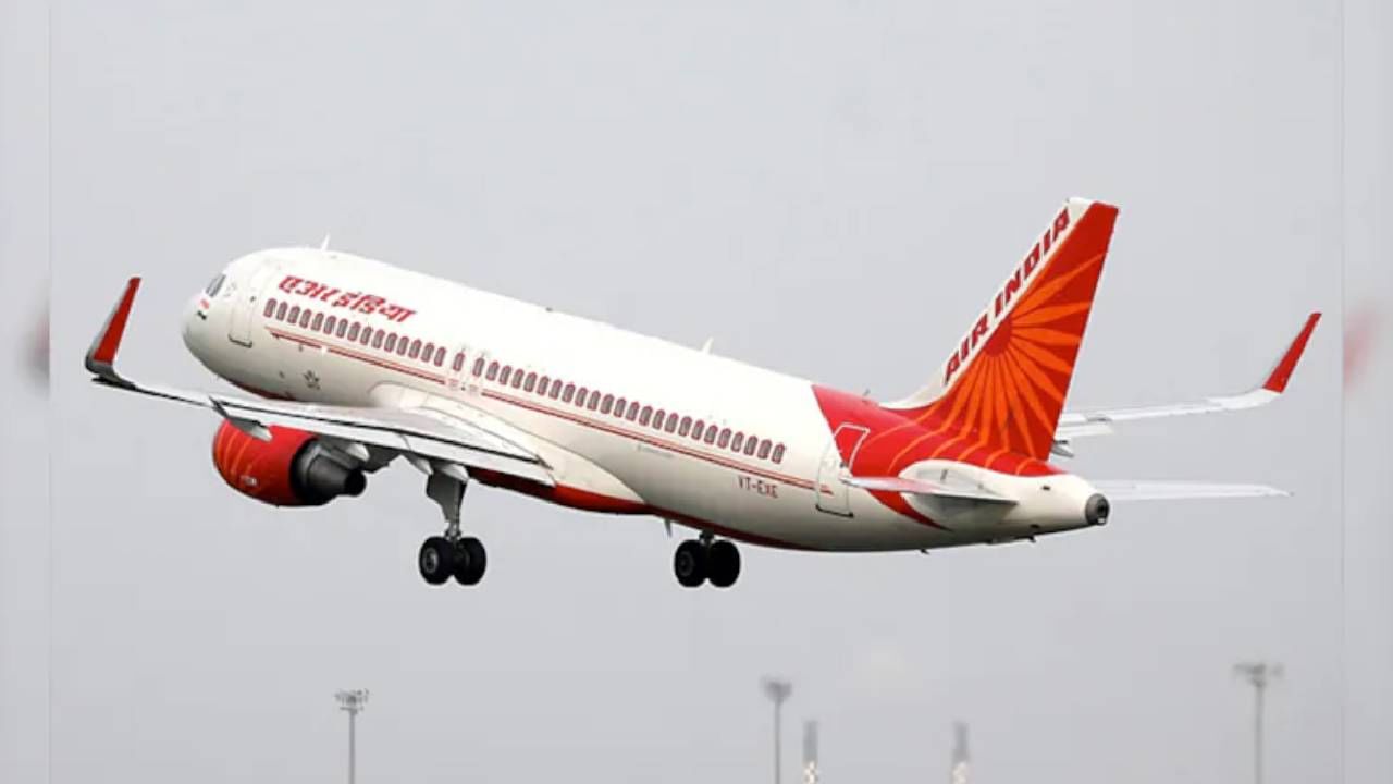 Pune News : एका कुत्र्याने रोखलं विमानाचं लँडिंग... पुण्यात नेमकं काय घडलं?