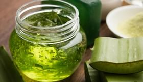 स्किन केअरमध्ये वापरले जाणारे कोरफड जेल त्वचेला नुकसान पोहोचवू शकते? स्किन केअरमध्ये वापरले जाणारे कोरफड जेल त्वचेला नुकसान पोहोचवू शकते?