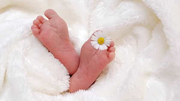 नाशिक : प्रत्येक दाम्पत्य हे आई-वडील होण्याचं स्वप्न बघत असतं. घरात ईवलुशी पावलं पडावीत, लहानग्या लेकराने घर डोक्यावर घ्यावं, असं प्रत्येक आई-वडिलांना वाटत असतं. पण अनेक दाम्पत्यांचा हा आनंद नशीब हिरावून घेतं.