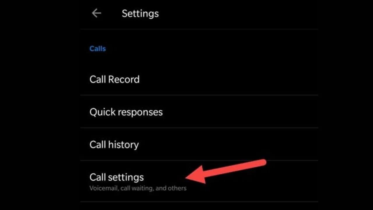 यानंतर, तुम्हाला सेटिंग्ज पर्यायामध्ये जा आणि त्यानंतर कॉल सेटिंग्ज (Call Settings) पर्याय निवडा.