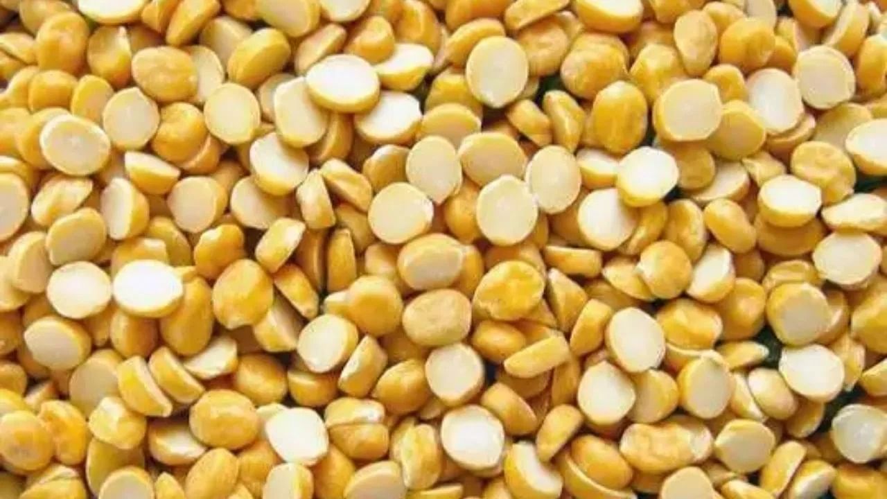 राजमा आणि उडीद डाळ व्यतिरिक्त, पावसाळ्यात हरभरा खाणे देखील टाळावे. हरभरा डाळ खाल्ल्याने अपचन आणि पोटात जळजळ होण्याची समस्या वाढू शकते.