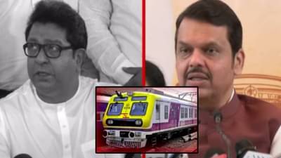 Devendra Fadnavis : … तेवढं डोकं आहे सरकारकडे, राज ठाकरेंच्या ‘त्या’ टीकेवरून मुख्यमंत्र्यांनी नाव न घेता फटकारलं