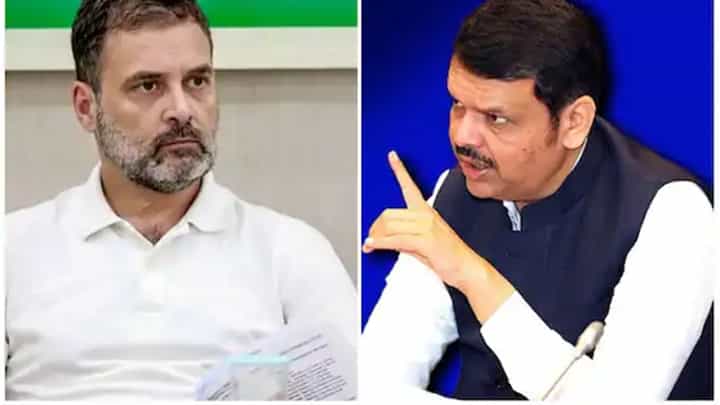 CM Devendra Fadnavis : राहुल गांधींसोबत चर्चा करण्यासाठी आमचा कार्यकर्ताच पुरेसा; फडणवीसांचा खसपूर टोला CM Devendra Fadnavis : राहुल गांधींसोबत चर्चा करण्यासाठी आमचा कार्यकर्ताच पुरेसा; फडणवीसांचा खसपूर टोला