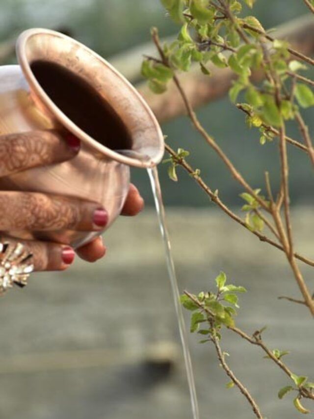तांब्याच्या 'या' वस्तूने नशीब चमकणार, गरिबी होणार दूर तांब्याच्या 'या' वस्तूने नशीब चमकणार, गरिबी होणार दूर