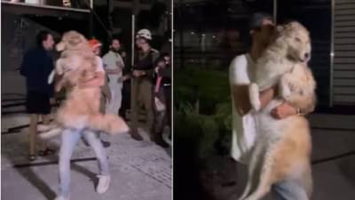 माणसांची शिक्षा मुक्या प्राण्यांना..; हल्ल्यांच्या भीतीने थरथर कापणाऱ्या श्वानाची सुटका, मन हेलावून टाकणारा Video