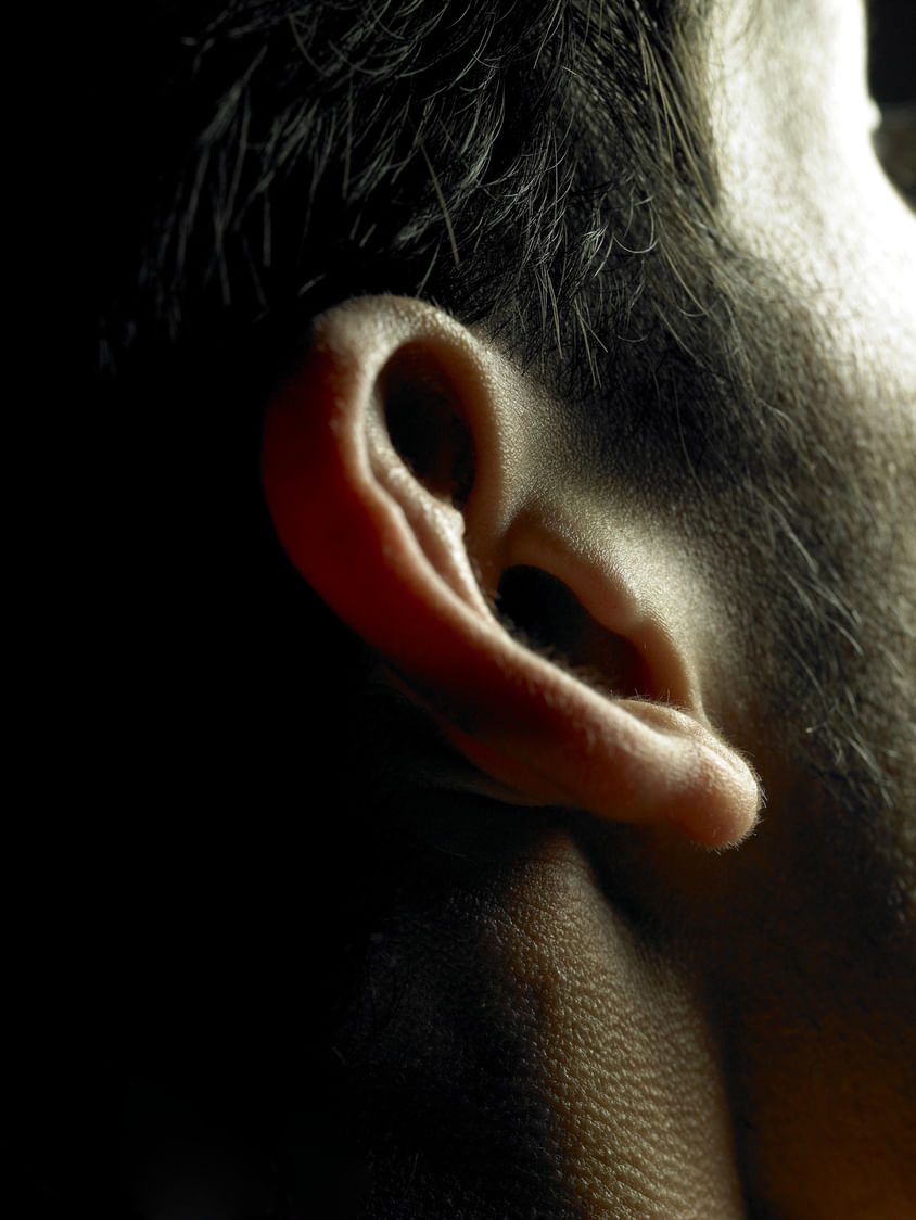 लांब कान असलेल्या व्यक्ती नेहमी सुखी जीवन जगतात. लांब कान असलेल्या व्यक्ती सामान्य लोकांच्या तुलनेत जीवनात कमी संघर्षांना सामोरे जावे लागते.