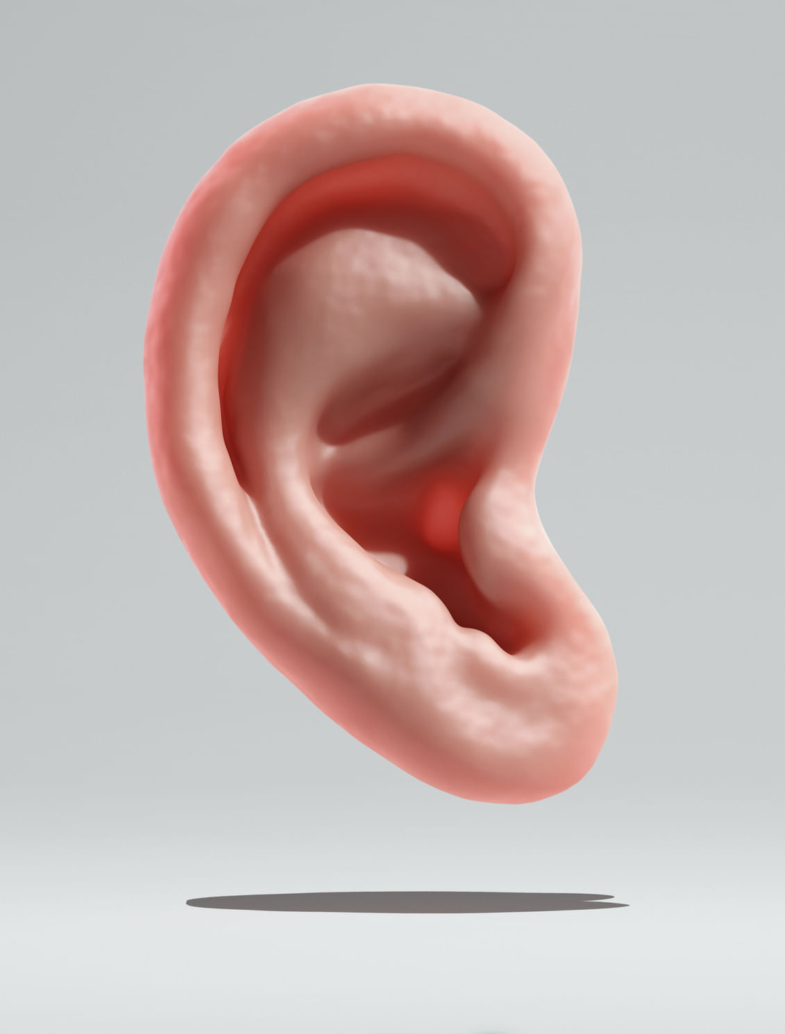 आपण सहसा कानांचा उपयोग फक्त ऐकण्यासाठी करतो, पण तुम्हाला माहीत आहे का की तुम्ही एखाद्या कानाच्या आकारावरुन त्या व्यक्तीचा स्वभाव ओळखू शकता.