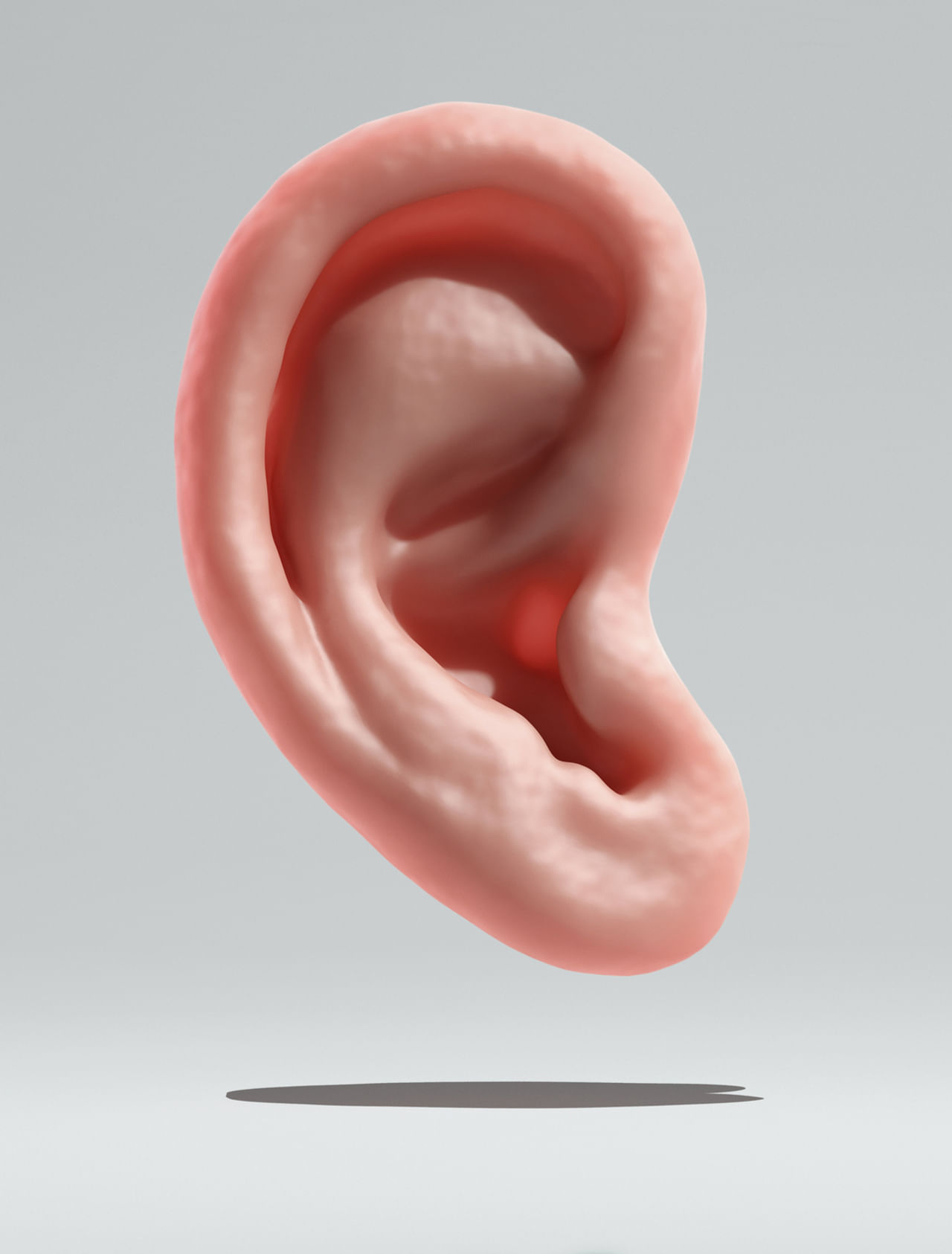 आपण सहसा कानांचा उपयोग फक्त ऐकण्यासाठी करतो, पण तुम्हाला माहीत आहे का की तुम्ही एखाद्या कानाच्या आकारावरुन त्या व्यक्तीचा स्वभाव ओळखू शकता.