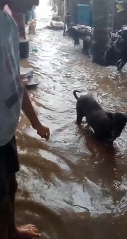 स्थानिक नागरिकांनी सांगितले की, सकाळच्या सुमारास समुद्रात जोरदार लाटा उसळू लागल्या आणि काही क्षणांतच त्या किनाऱ्यावरून थेट घरांमध्ये शिरल्या.विशेषतः उंच लाटांनी काही घरांचे नुकसानही केले असून, घरातील फर्निचर, इलेक्ट्रॉनिक उपकरणे यांचे मोठे नुकसान झाले आहे.