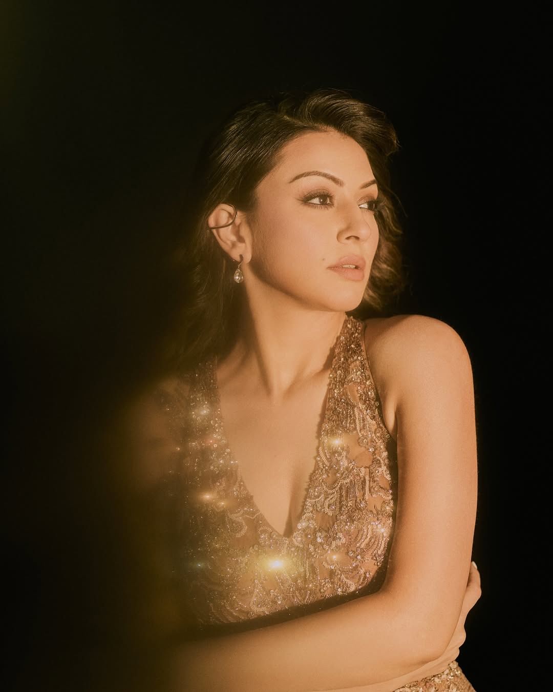 विशेष म्हणजे सोहेल आणि रिंकी यांच्या लग्नात हंसिकाने हजेरी लावलेली होती. म्हणजेच हंसिका तिच्या पतीच्या पहिल्या लग्नातही गेली होती. 