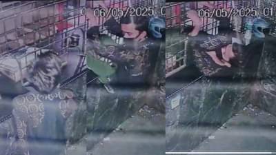 Nagpur Crime : बयो... चोर आहे की साप? बिअर शॉपच्या छोट्या काऊंटरमधून शिरला अन्...