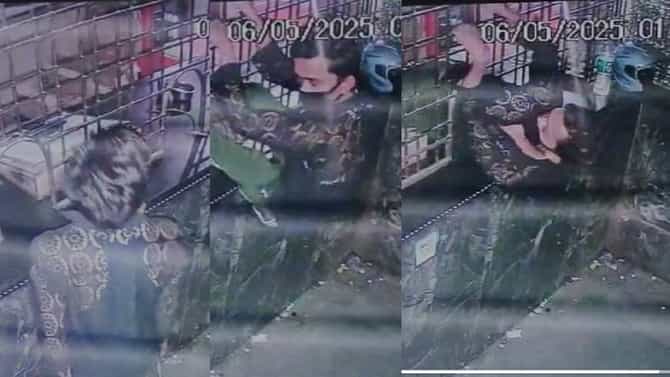 Nagpur Crime : बयो... चोर आहे की साप? बिअर शॉपच्या छोट्या काऊंटरमधून शिरला अन्...