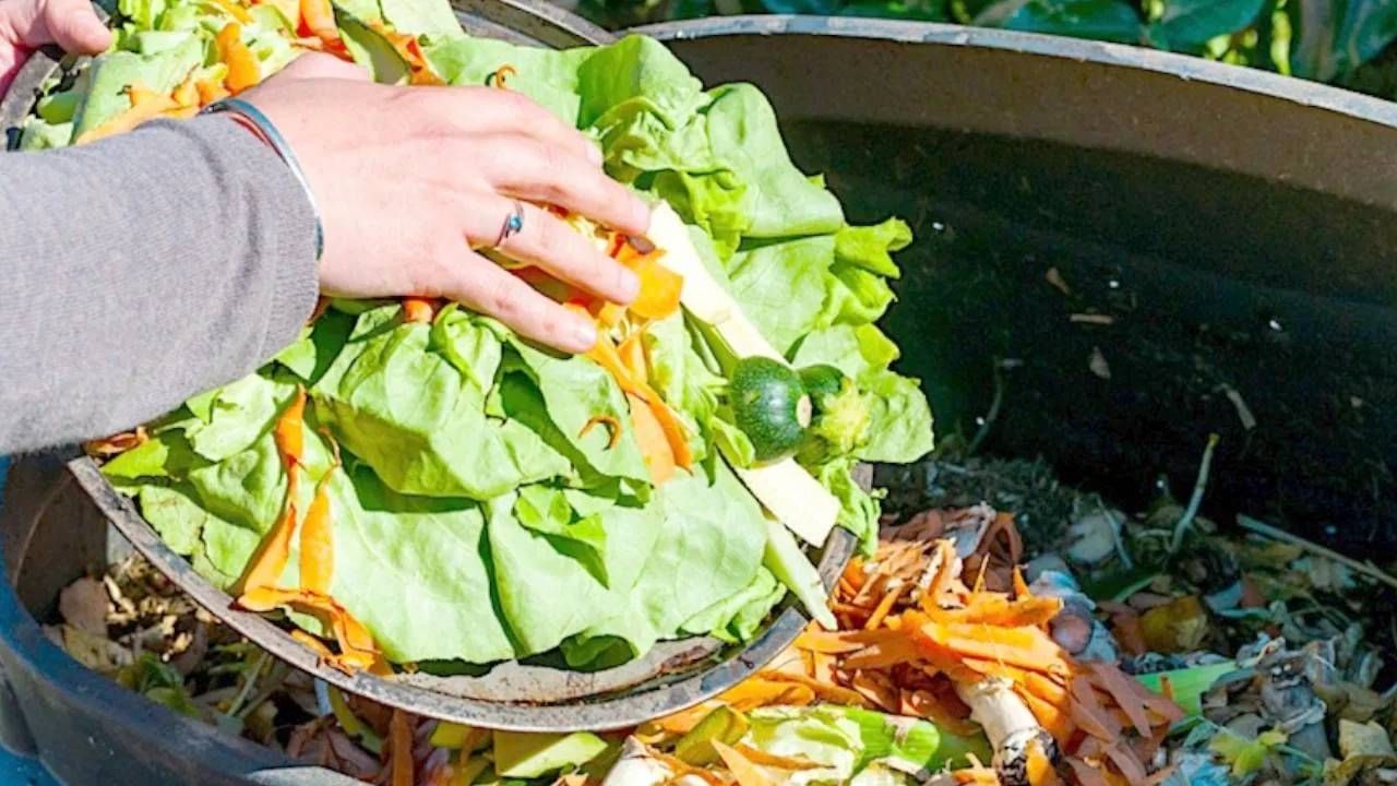 अमेरिकेत लोक 19.4  दशलक्ष टन अन्न वाया घालवतात. फ्रान्स आणि जर्मनीमध्ये पाच आणि सहा टन अन्न फेकून दिले जाते.