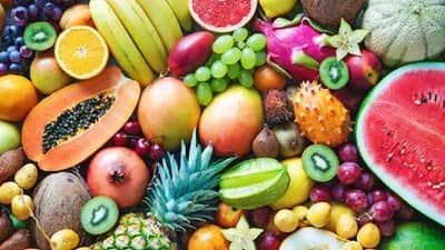 मातीशिवायही पिकणार फळं! काय आहे IIT कानपूरचा हा अनोखा स्टार्टअप?