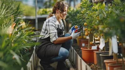 बागकाम केल्याचे फायदे काय? वाचून तुम्हीही व्हाल चकित