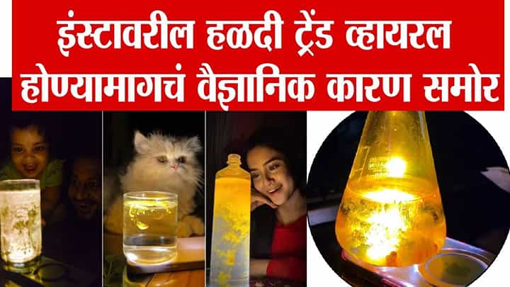 Viral Trend : पाण्यात हळद टाकण्याचा ट्रेंड तुम्ही करताय? जरा थांबा... त्यामागचं वैज्ञानिक कारण माहितीये का? Viral Trend : पाण्यात हळद टाकण्याचा ट्रेंड तुम्ही करताय? जरा थांबा... त्यामागचं वैज्ञानिक कारण माहितीये का?