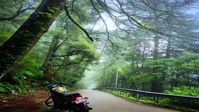 कमी बजेटमध्ये सोलो ट्रिप करायची आहे? तर हे हिल स्टेशन्स आहेत तुमच्यासाठी योग्य पर्याय