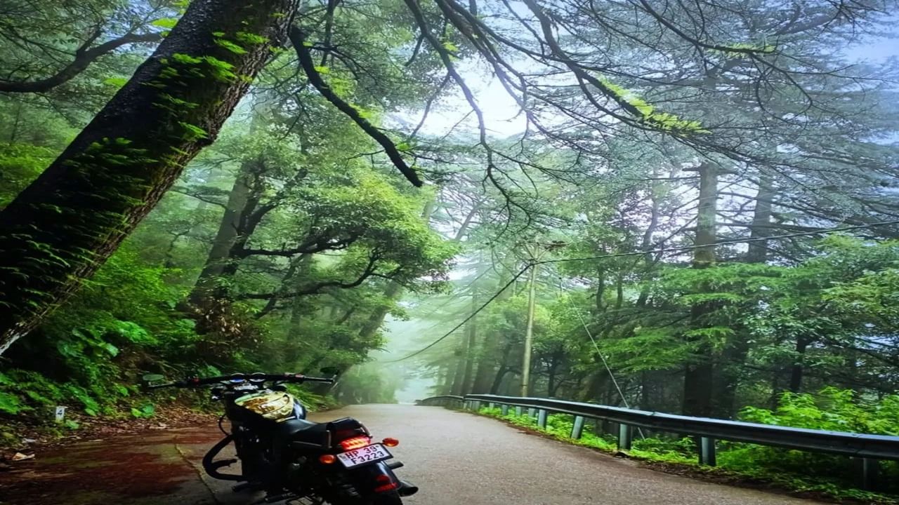 कमी बजेटमध्ये सोलो ट्रिप करायची आहे? तर 'हे' हिल स्टेशन्स आहेत तुमच्यासाठी योग्य पर्याय कमी बजेटमध्ये सोलो ट्रिप करायची आहे? तर 'हे' हिल स्टेशन्स आहेत तुमच्यासाठी योग्य पर्याय