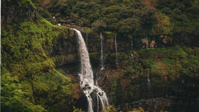 पावसाळ्यात महाराष्ट्रातील या हिल स्टेशन्सला  नक्की भेट द्या, तुमच्या ट्रिपचा आनंद होईल डबल