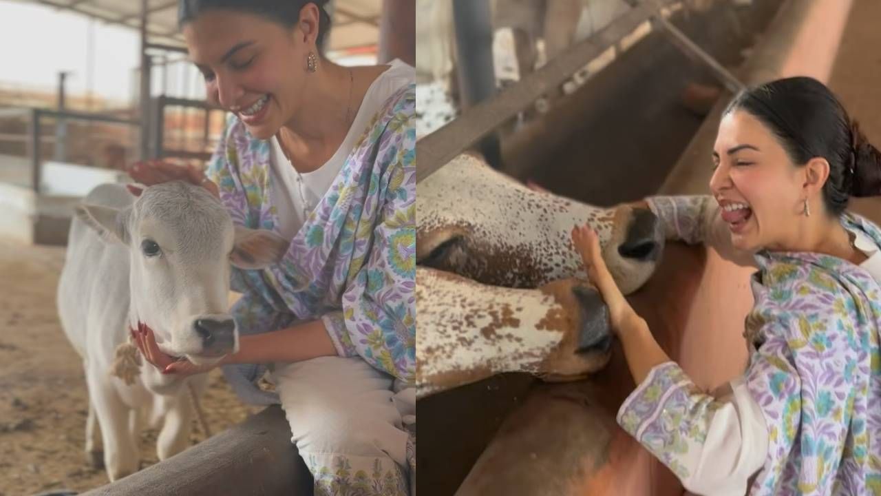 यासाठी जॅकलिन अध्यात्मिक गुरू श्री श्री रविशंकर यांच्या बंगळुरू इथल्या आर्ट ऑफ लिव्हिंगच्या आश्रमात पोहोचली आहे. याठिकाणी तिने निसर्गाच्या सानिध्यात आणि प्राण्यांसोबत निवांत वेळ घालवला. 
