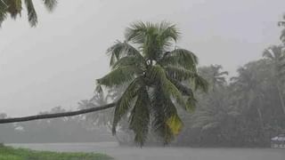 आषाढी यात्रेनिमित्त पंढरपूर शहरात दहा दिवस मांस विक्रीला बंदी