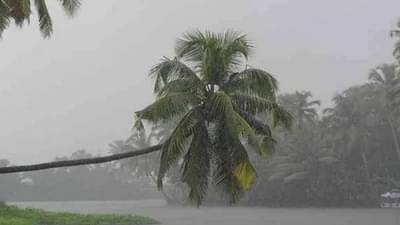 मान्सूनचा जोर वाढणार, मुंबईला यलो, कोकणाला ऑरेंज अलर्ट जारी; रत्नागिरी, सिंधुदुर्गातील अंदाज काय?