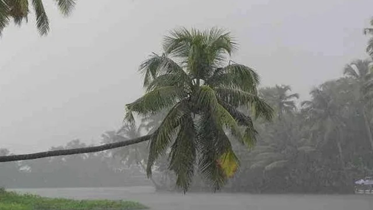 राज्यात पावसाचा जोर वाढणार, कोकण आणि मध्य महाराष्ट्राबाबत आयएमडीकडून महत्वाची माहिती