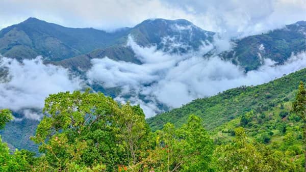 हिरव्यागार दऱ्या अन् थंड वारा, जुलै महिन्यात भेट देण्यासाठी हे हिल स्टेशन आहे बेस्ट