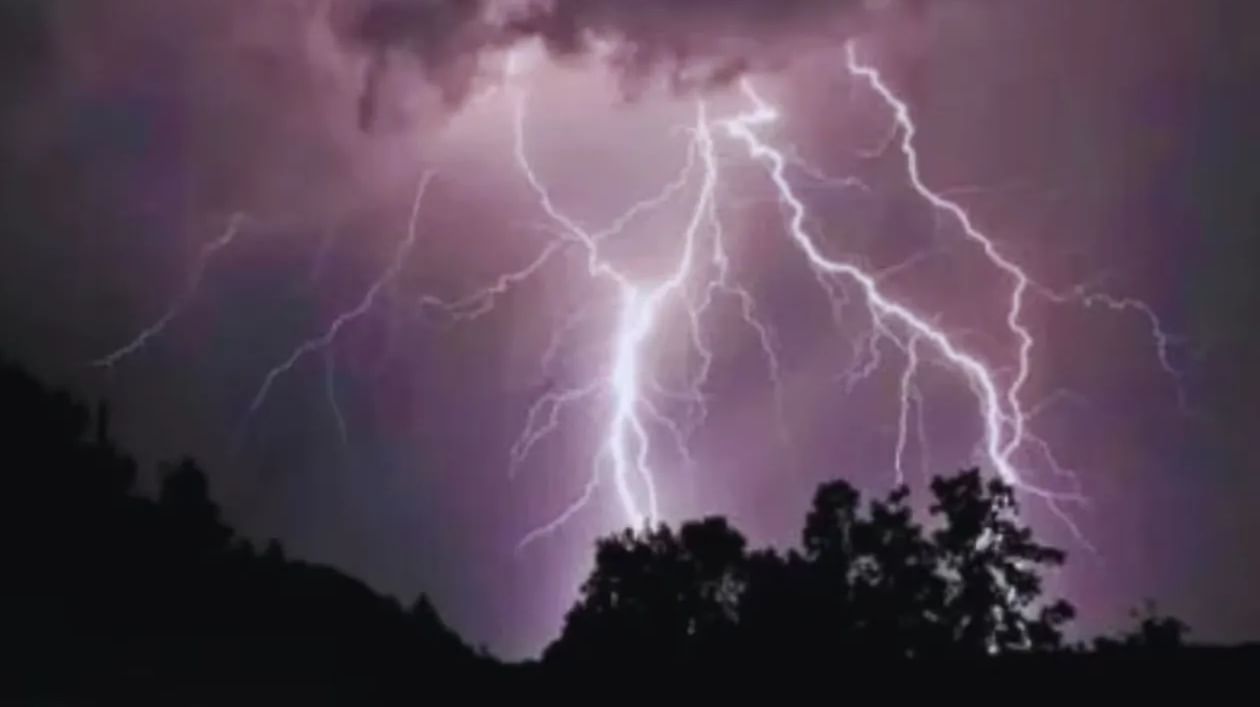 IMD Weather Update : पुढील 7 दिवस धोक्याचे, 15 राज्यांना अतिमुसळधार पावसाचा हाय अलर्ट, महाराष्ट्राबाबत मोठी बातमी IMD Weather Update : पुढील 7 दिवस धोक्याचे, 15 राज्यांना अतिमुसळधार पावसाचा हाय अलर्ट, महाराष्ट्राबाबत मोठी बातमी