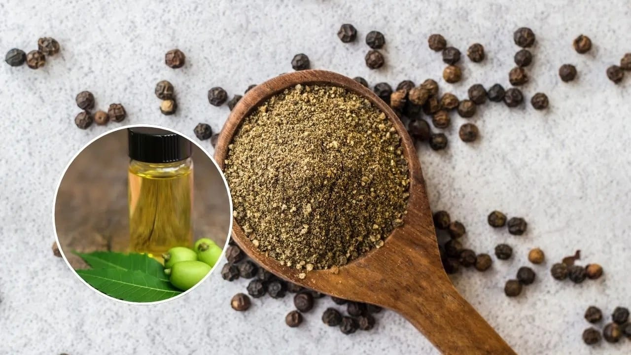 घर पुसताना पाण्यात काळी मिरी आणि कडुलिंबाचे तेल देखील घालू शकता. हे मिश्रण व्यवस्थित मिसळून त्या पाण्याने घराचा प्रत्येक कोपरा स्वच्छ करा. यामुळे तुमच्या घरात पाल किंवा इतर कीटक दिसणार नाही.