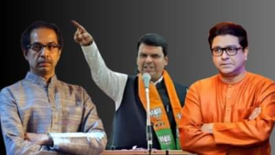 चर्चा ठाकरे बंधूंच्या युतीची, भेट मात्र ठाकरे-फडणवीसांची!