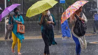 मान्सूनने महाराष्ट्र व्यापला, पुढील 5 दिवस धो धो पाऊस; IMD चा अंदाज काय?