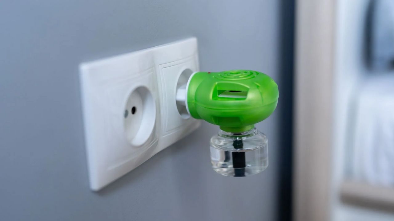 All Out किंवा Good Knight वापरताय? जाणून घ्या महिन्याभराचा वीजबिलाचा हिशोब! All Out किंवा Good Knight वापरताय? जाणून घ्या महिन्याभराचा वीजबिलाचा हिशोब!