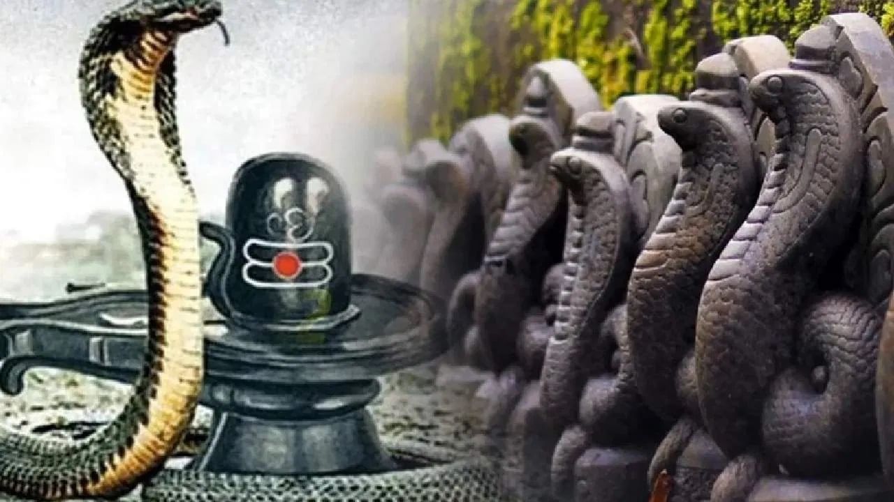 Nag panchami 2025: 2025मध्ये नाग पंचमी कधी आहे? जाणून घ्या 'या' सणाचे महत्त्व.... - Marathi News | Nag panchami 2025 date timshube tithi importance and mantra in marathi | TV9 Marathi