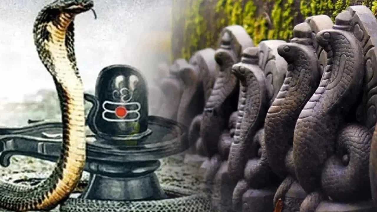 Nag panchami 2025: 2025मध्ये नाग पंचमी कधी आहे? जाणून घ्या या सणाचे महत्त्व....
