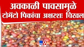 Samruddhi Mahamarg : दादा म्हणताय गार-गार वाटतंय, तर शिंदे फडणवीसांची मिश्कील प्रतिक्रिया बघाच…