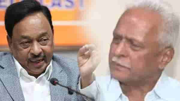 तरी ते गटारातच उडी मारणार, बेडकाचा उल्लेख करून महाजनांनी राणेंची उडवली खिल्ली!