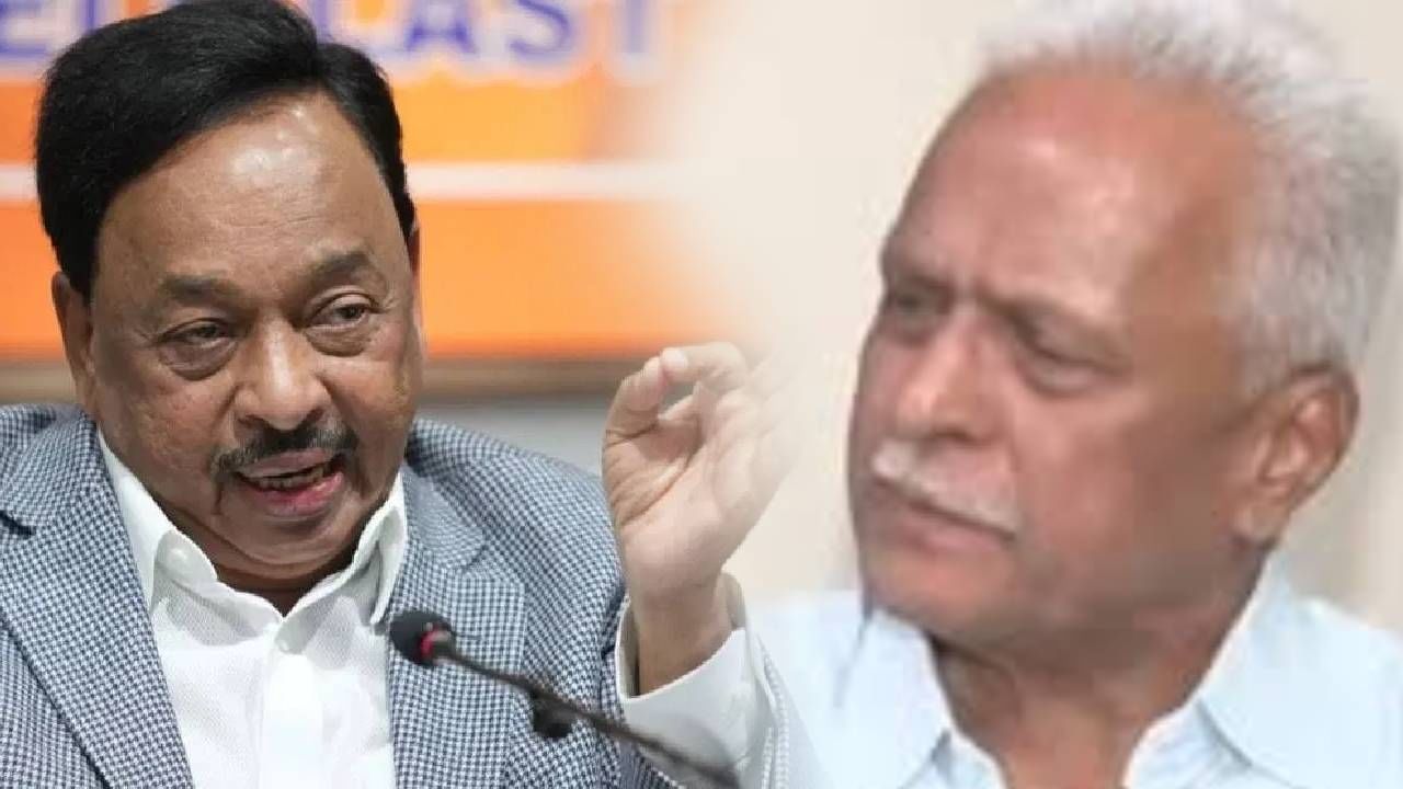 तरी ते गटारातच उडी मारणार, बेडकाचा उल्लेख करून महाजनांनी राणेंची उडवली खिल्ली!