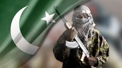 पाकिस्तानचे मोठे षड्यंत्र, सीमेलगत पुन्हा दहशतवाद्यांना पाठिंबा, भारताची चिंता वाढली