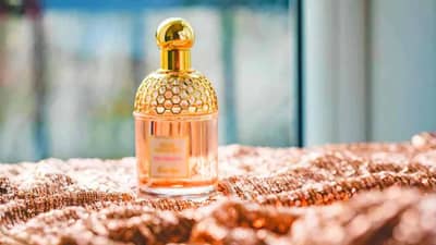 परफ्यूम खरेदी करताय? EDT, EDP आणि EDC कशासाठी लिहिले जातात हे आधी जाणून घ्या !