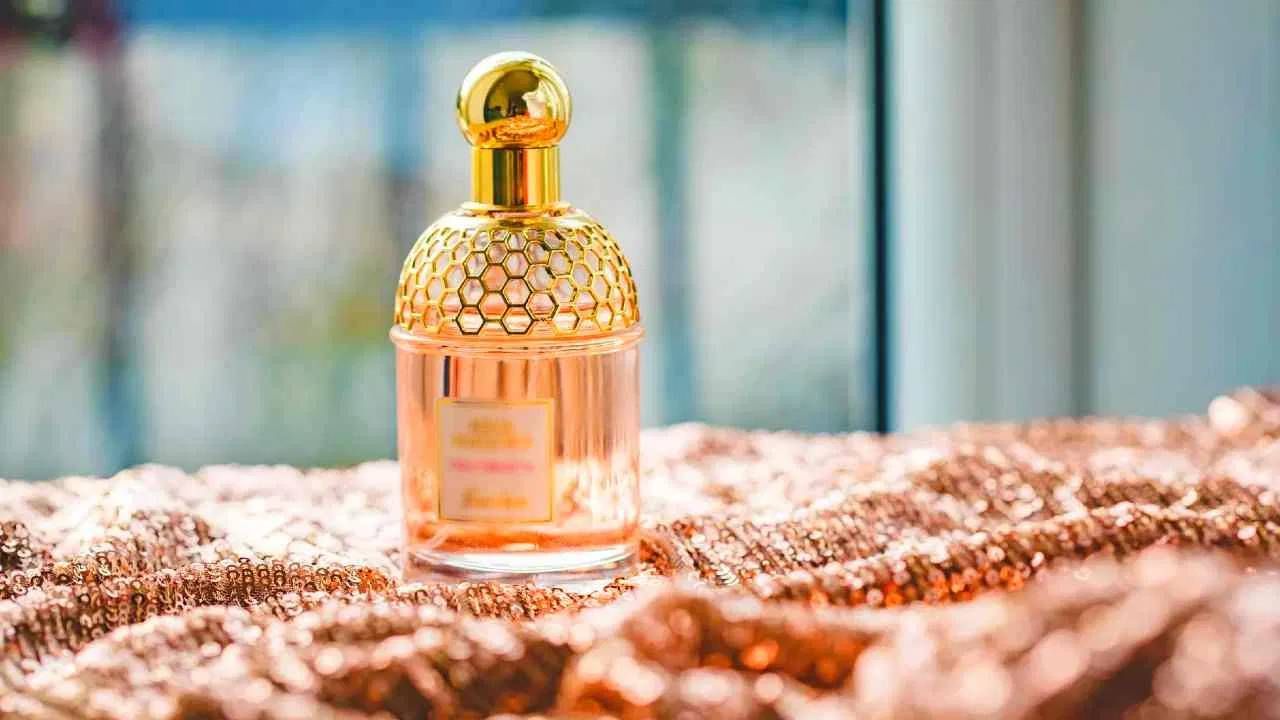 परफ्यूम खरेदी करताय? EDT, EDP आणि EDC कशासाठी लिहिले जातात हे आधी जाणून घ्या !