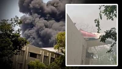 मोठी बातमी! 2 पक्ष्यांमुळे 100हून अधिक प्रवाशांचा मृत्यू? अहमदाबाद विमान अपघातामागील धक्कादायक कारण आलं समोर